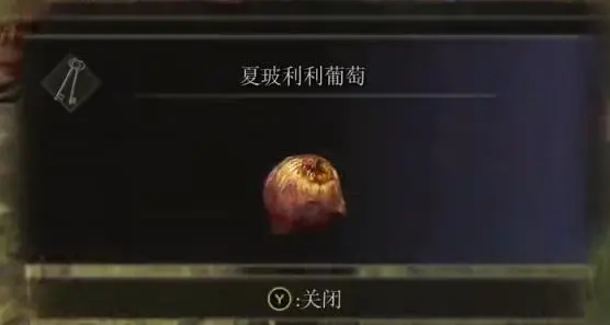 艾尔登法环双手和双持哪个好2