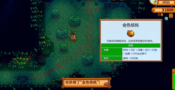 星露谷物语姜岛怎么走2