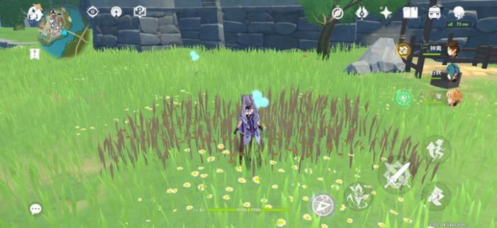 原神中如何采摘蒲公英1