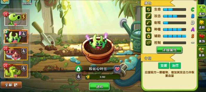 植物大战僵尸2粉丝心叶兰怎么样1