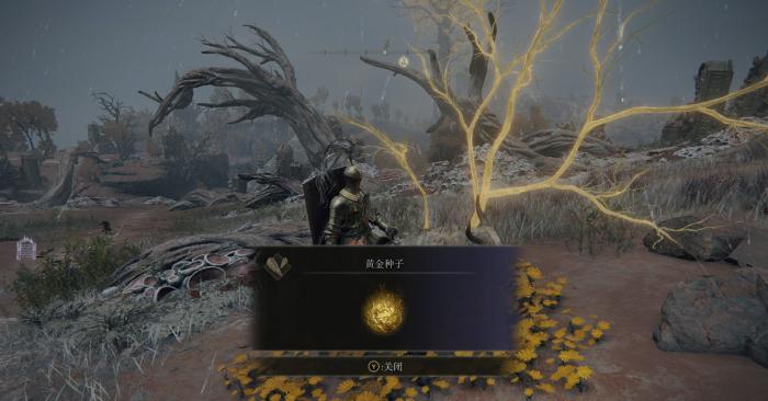 艾尔登法环新手走什么路线2