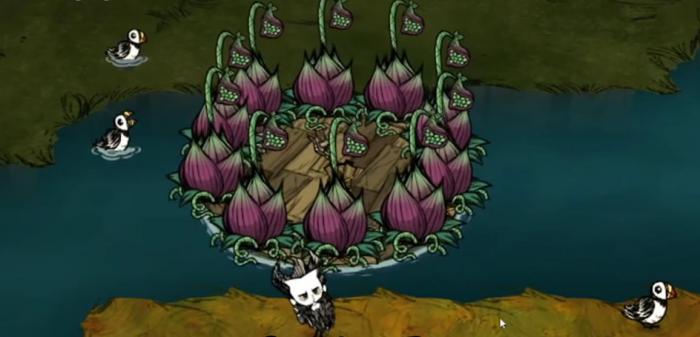 饥荒联机版叶肉有什么用1