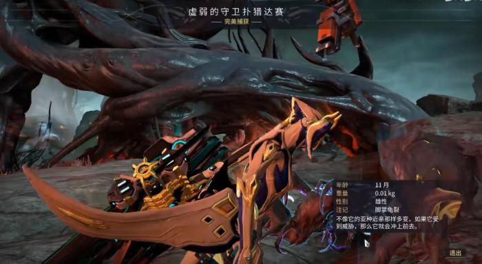 星际战甲扑猎达赛有什么用4