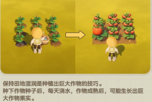 星布谷地烹饪技巧全解析3