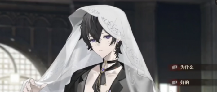 代号砰砰角色大全4