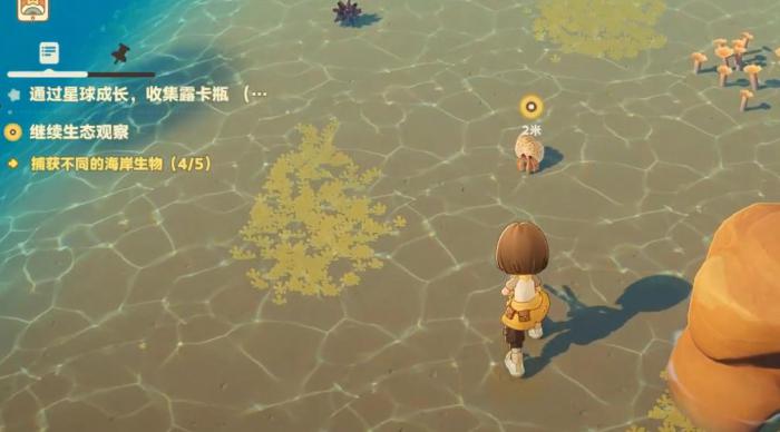 星布谷地是单机还是联机模式2