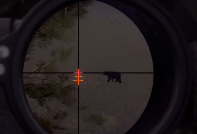 猎人之路怎么打熊1