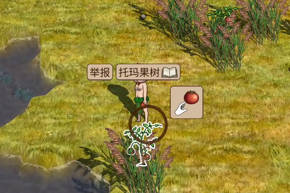 村落人生新手攻略2