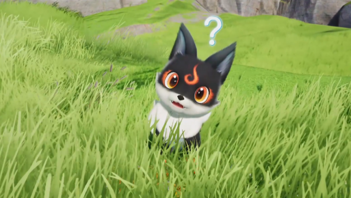 伊莫口哨鸥怎么捕捉4