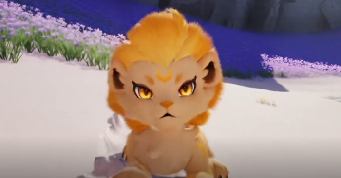 伊莫图鉴分享大全2