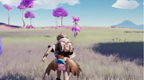 伊莫女巫草怎么样1