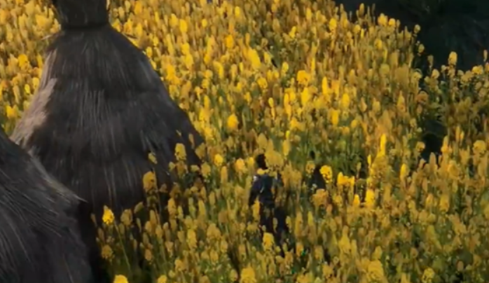 下一站江湖2丢失的手镯任务怎么做3