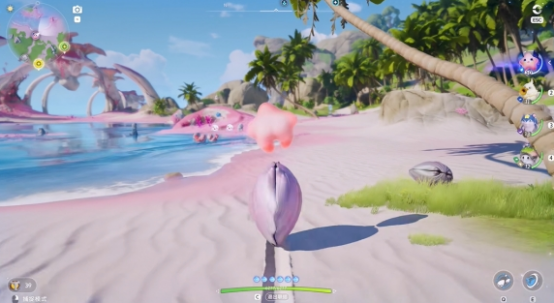 伊莫全息训练有哪些方法1