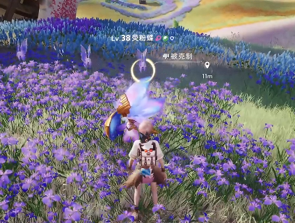 伊莫鸢尾花海宠物有哪些1