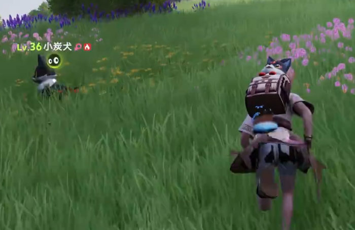 伊莫新叶台地有哪些伊莫2