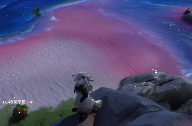 伊莫鲸落浅滩宠物分享3