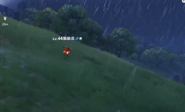 伊莫飘飘花位置1