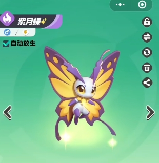 曙光重临电系阵容怎么搭配2