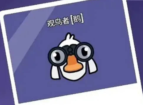 鹅鸭杀鹅角色有哪些5