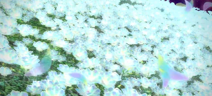 最终幻想14水晶世界服务器怎么选1