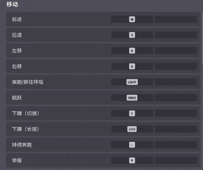 远光84视野设置指南2