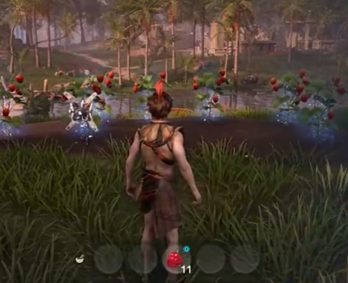 荒野起源高性价比食物有哪些3