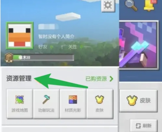 我的世界国际版怎么加模组3