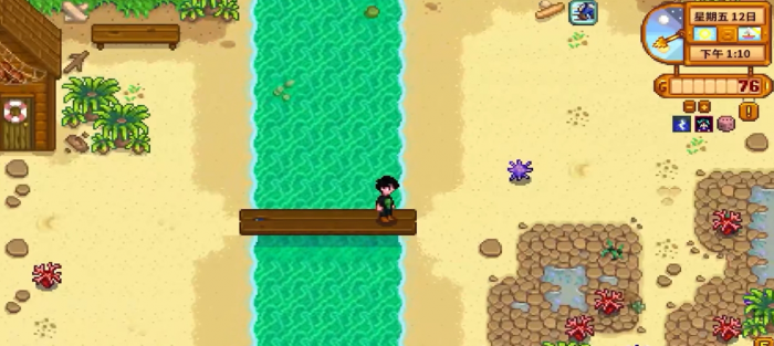 星露谷物语海滩右边的断桥怎么修2