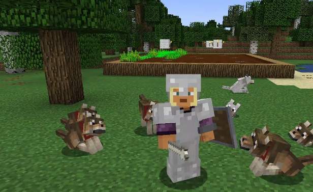 我的世界流浪商人有什么用2