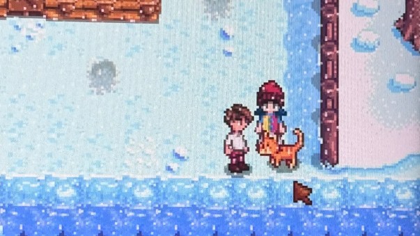 星露谷物语抚摸猫掉落物品有哪些机制2