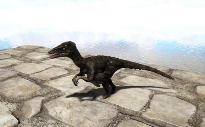 方舟生存进化伤齿龙有什么用_方舟生存进化伤齿龙蛋代码