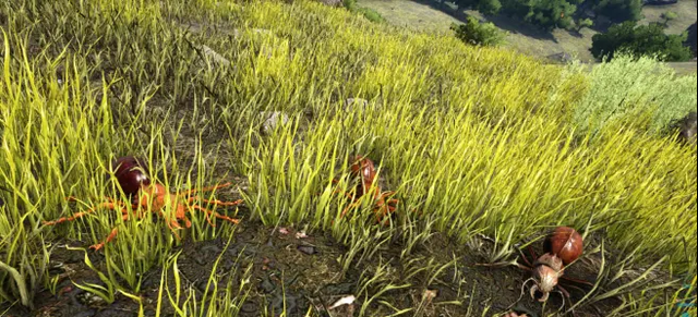 方舟生存进化巨型蚂蚁怎么打_方舟蚂蚁分布