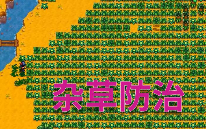 星露谷物语杂草有哪些特点_星露谷物语安卓