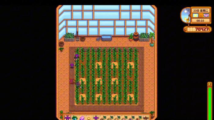 星露谷物语温室有哪些特性2