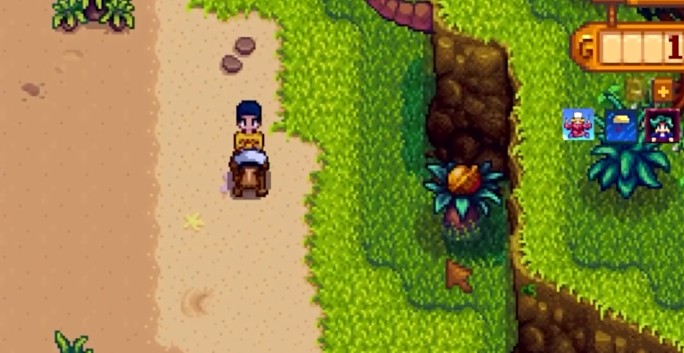 星露谷物语马匹有哪些基本知识2