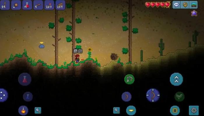 泰拉瑞亚沙尘暴事件怎么触发3