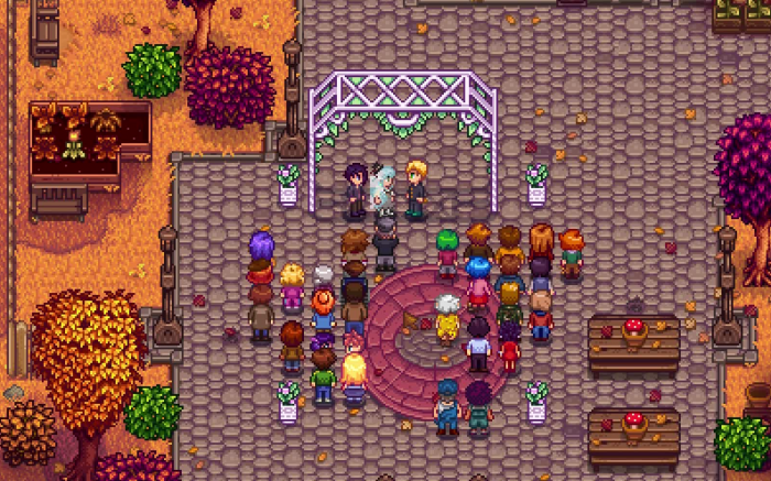 星露谷物语怎么和山姆结婚1