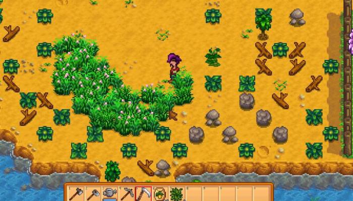 星露谷物语一天都在干什么1