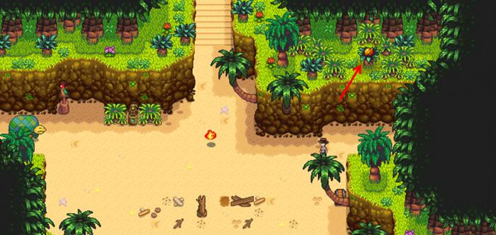 星露谷物语姜岛核桃怎么获得3