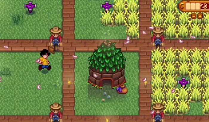 星露谷物语第二年春天种什么1