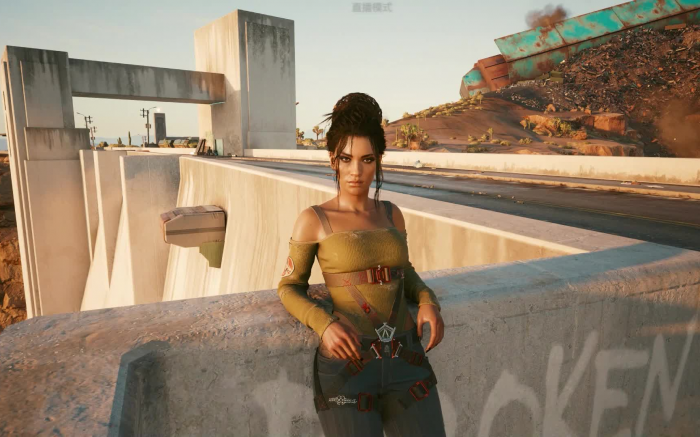 赛博朋克2077女主帕南怎么玩2