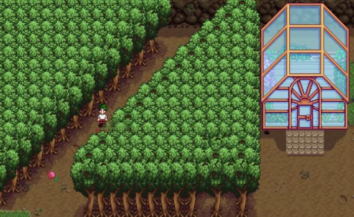 星露谷物语草原之王怎么射击2