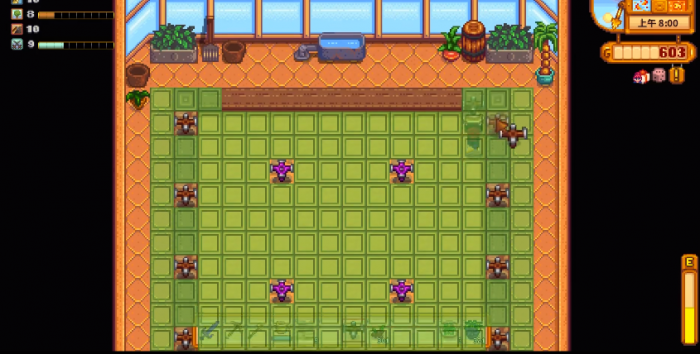 星露谷物语温泉有什么用3