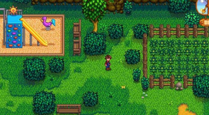 星露谷物语人物生日作用是什么1