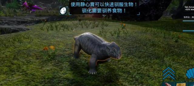 方舟生存进化中的水龙兽怎么驯服2