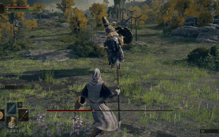 艾尔登法环观星者武器排行是什么2