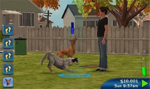 恐龙岛怎么控制宠物1