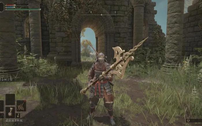 艾尔登法环罗德莉卡任务是什么_艾尔登法环突然卡一下