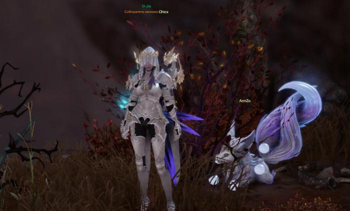 失落的方舟女神岛在哪1