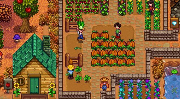 星露谷物语海莉问今天干什么2